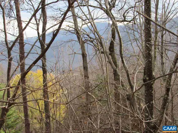 1351 Black Walnut Dr, Nellysford, VA 22958