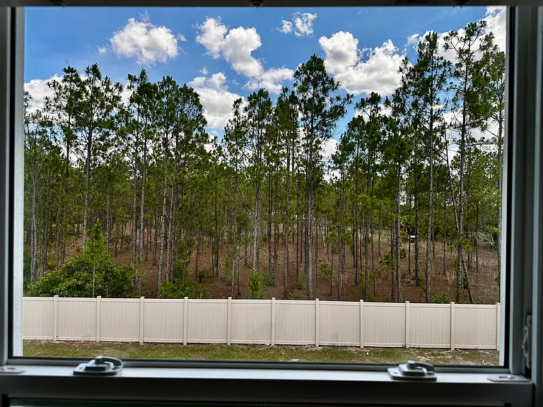 2329 Lesser Goldfinch Dr — Photo 17