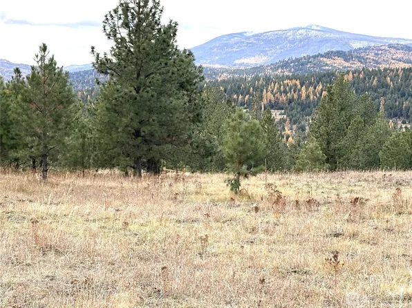 60 Buck Road, Oroville, WA 98844