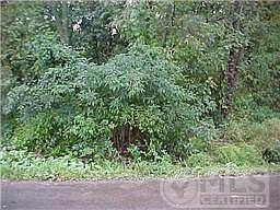 1st image of 700 Overton Dr