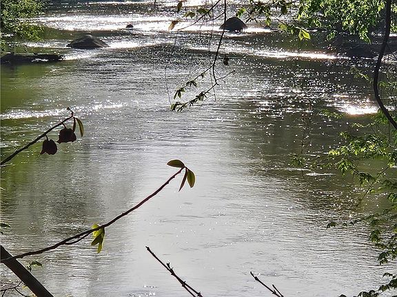 2nd image of 0 Bryants Ford Rd