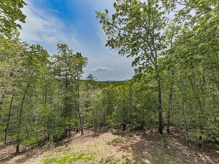 88 Black Gum Ln — Photo 47