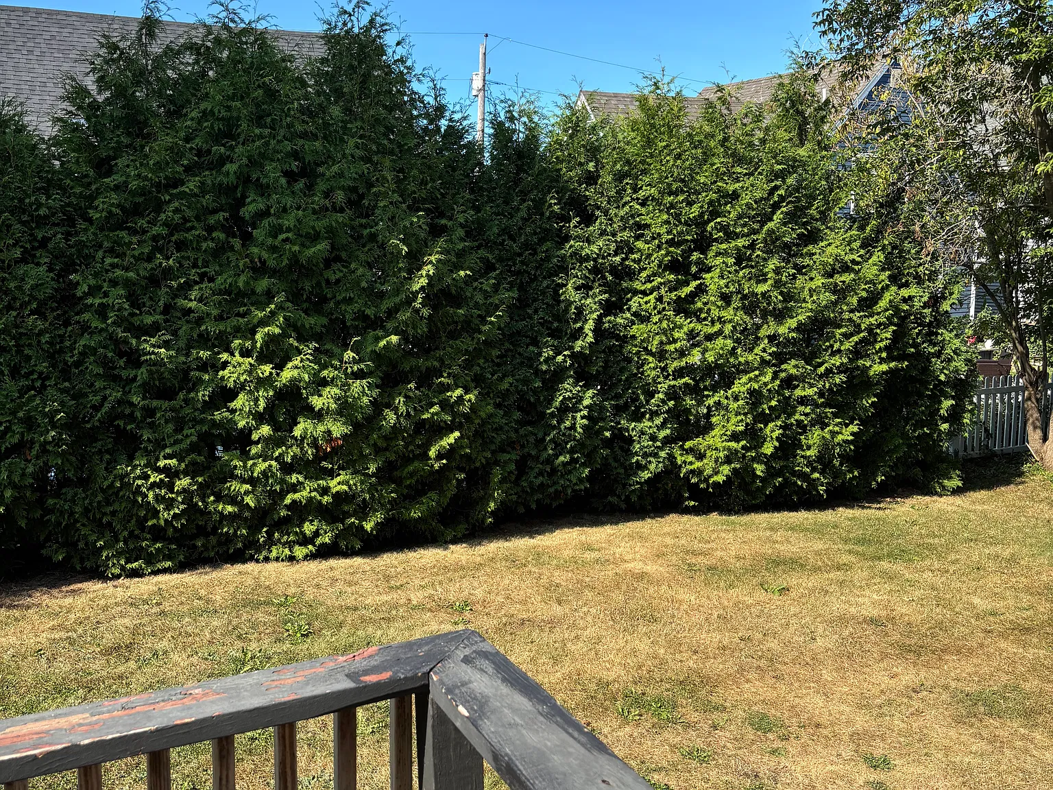 2 bed, $1,425 — Photo 3