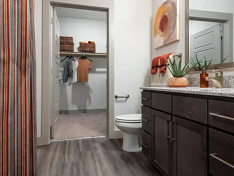Ensuite Bathroom Connected to Spacious Walk-In Closet