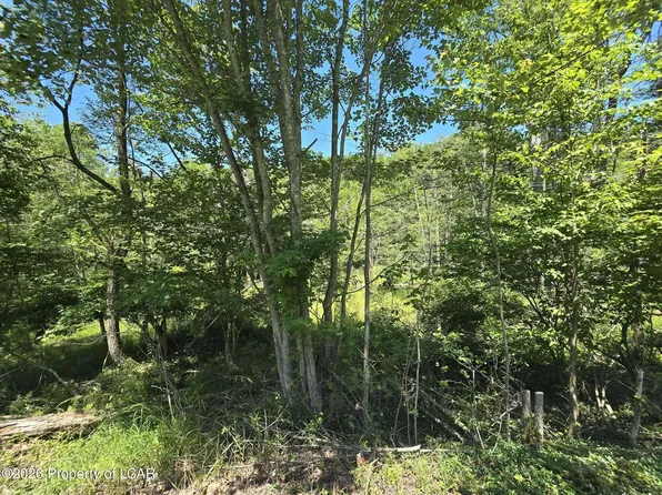 2nd St, Harveys Lake, PA 18618