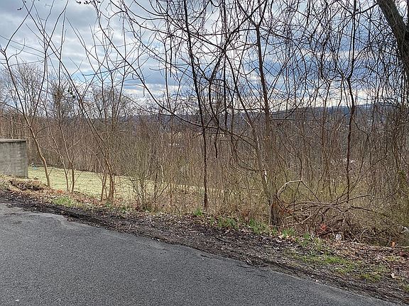 Trees surround cleared area.