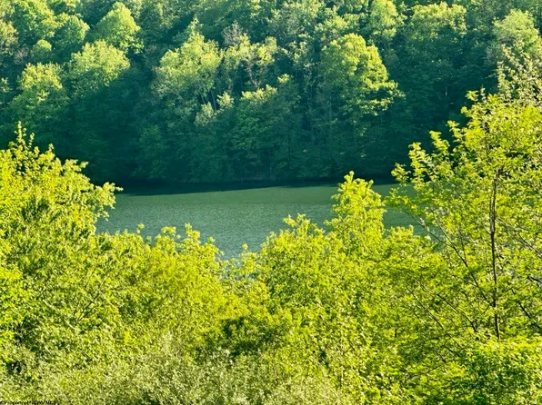 570 Lakeview Dr, Horner, WV 26372