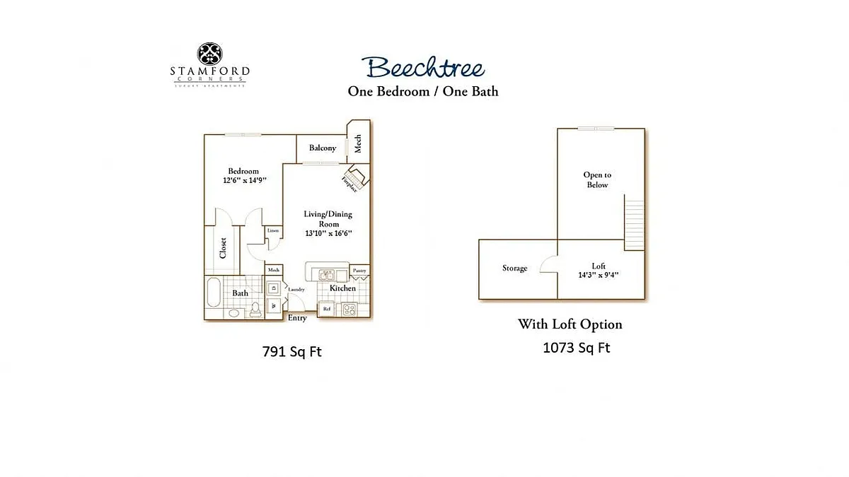 Floor plan 1 Bed/1 Bath-Beechtree