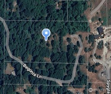 149 Begonia Lane, Packwood, WA, 98361