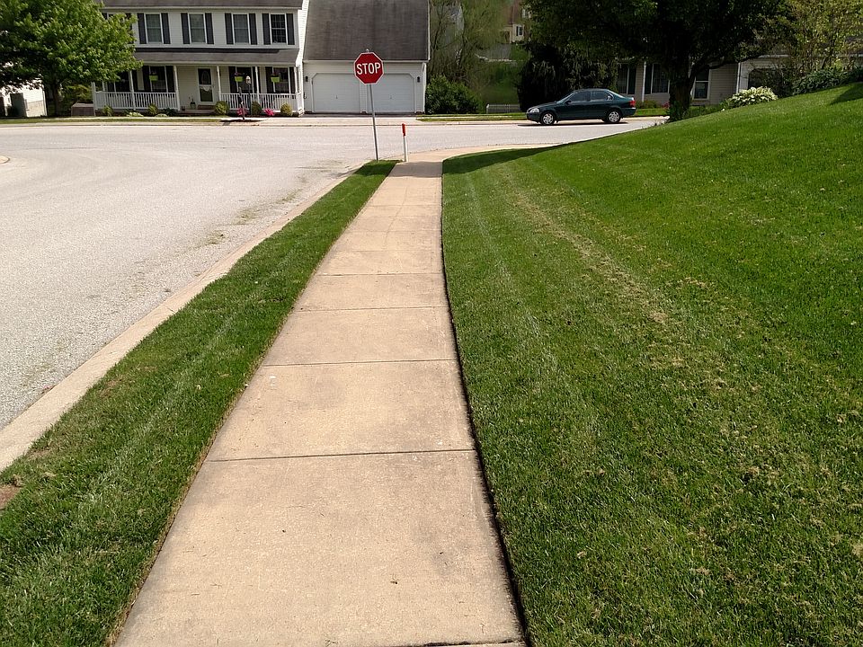 Beautiful yard