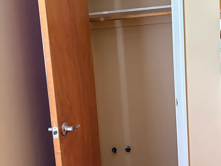 Downstairs closet