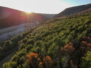 Vl County Rte LOT 1-119, Canisteo, NY 14823