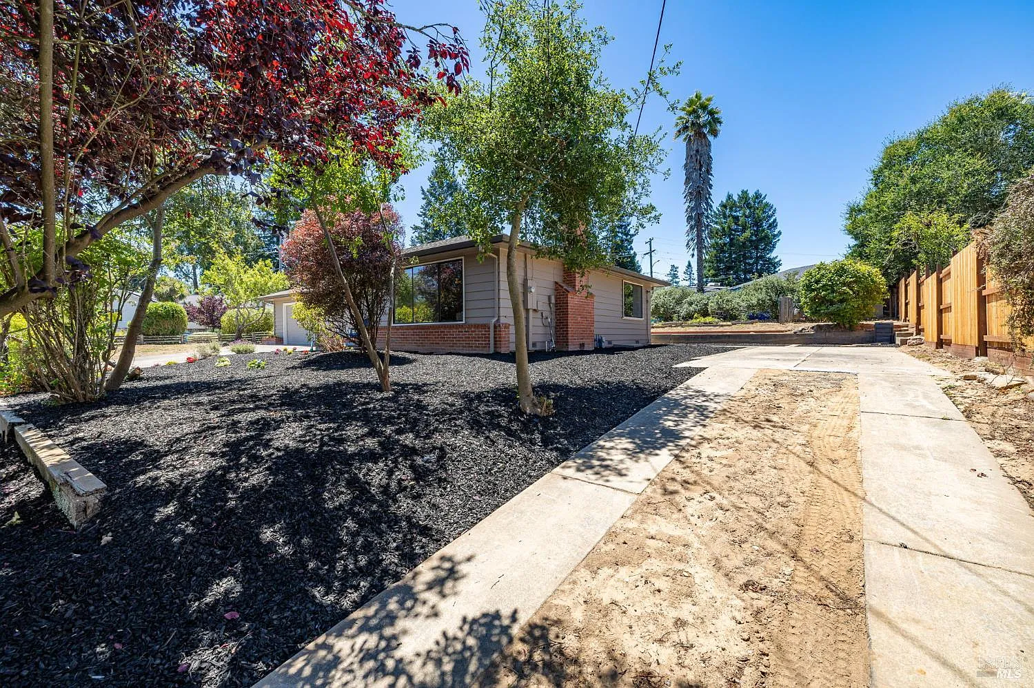 900 Dorthel Street - Photo 9