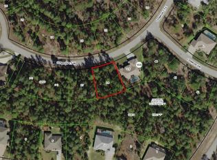 6 Cosmos Ct W, Homosassa, FL 34446