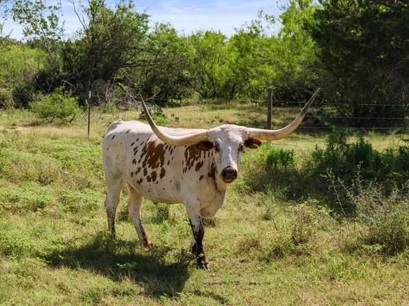 625 Callihan Rd, Luling, TX 78648