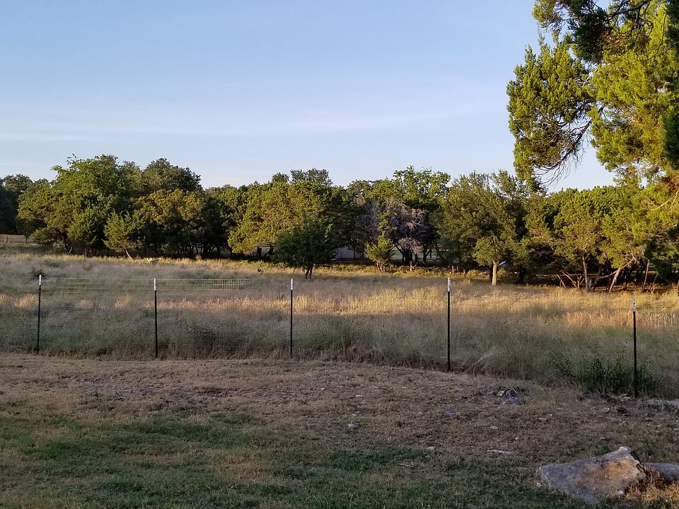 Trees on back of lot