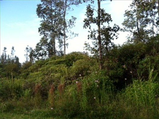 1st image of Menehune Way Lot 43