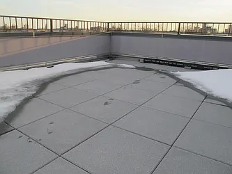 Rented by P Management