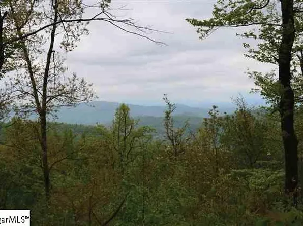 122 Panther Mountain Rd, Zirconia, NC 28790