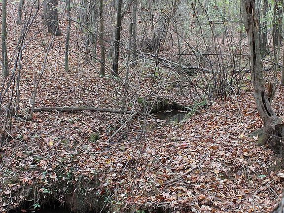 2nd image of County Road 134 #0