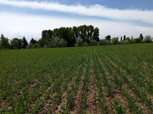 Tbd 35th W, Idaho Falls, ID 83402