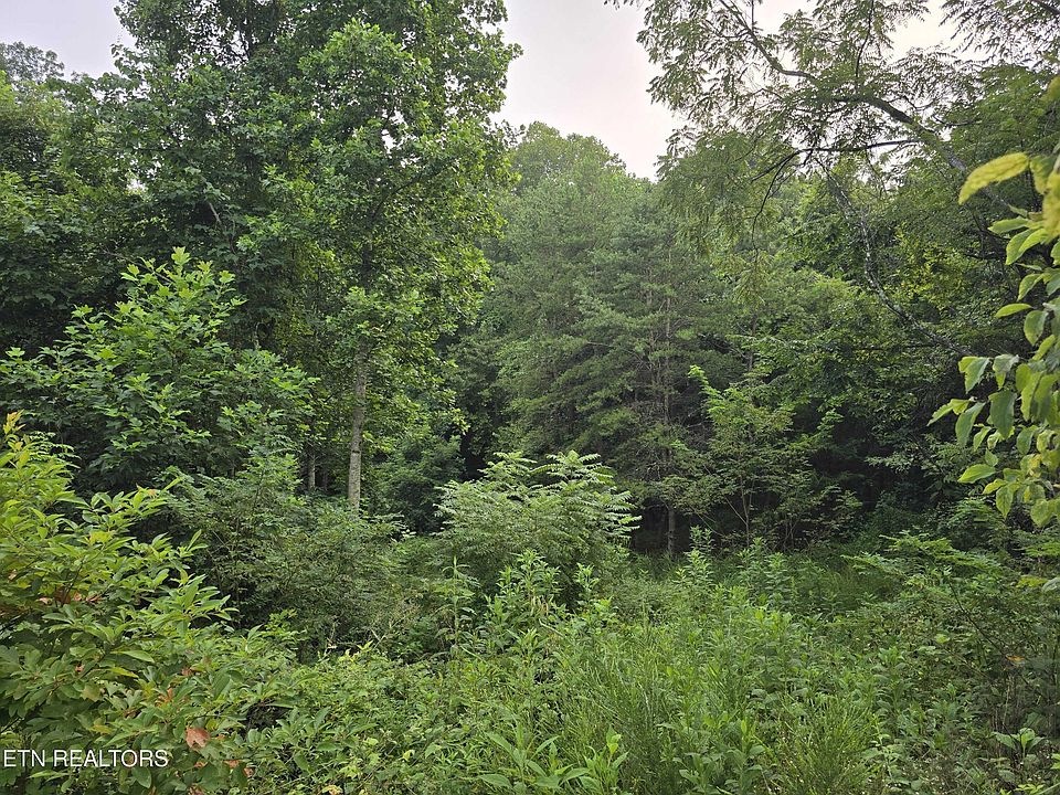 1st image of Volunteer Rd