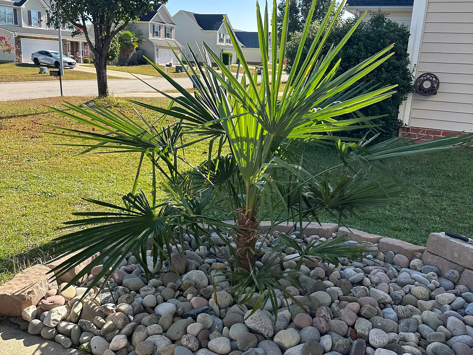 4 bed, 2.5 bath, 2021 sqft, $2,300 — Photo 4
