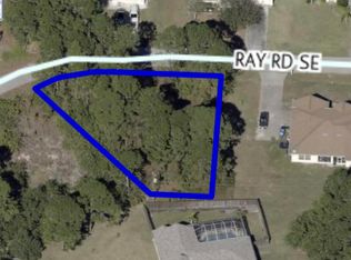1042 Ray Rd SE, Palm Bay, FL 32909
