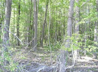 Brydle Rd, Kingsville, OH 44048