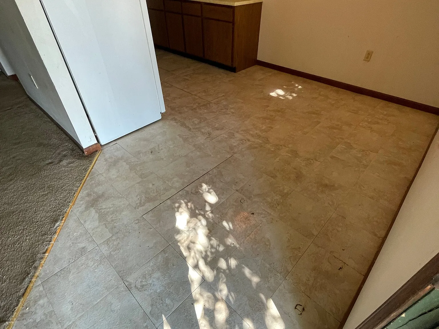 2 bed, 850 sqft, $1,100 — Photo 2