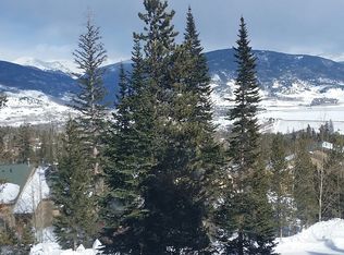 89310 Ryan Gulch Rd #202, Silverthorne, CO 80498