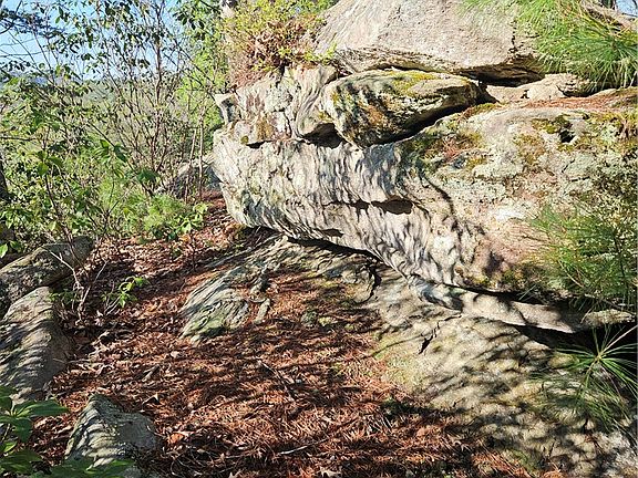 4th image of 139 Whispering Falls Dr