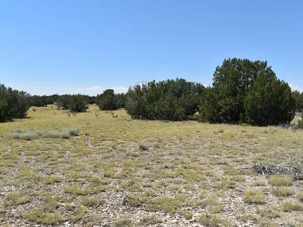 LOT 36 County Road 93.9, Model, CO 81059
