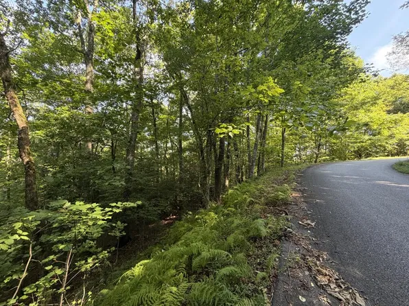 5 Mill Ridge Rd, Hiawassee, GA 30546