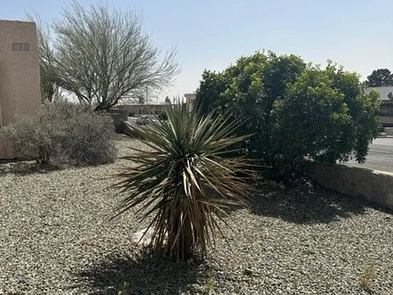2900 Majestic Rdg #A — Photo 9