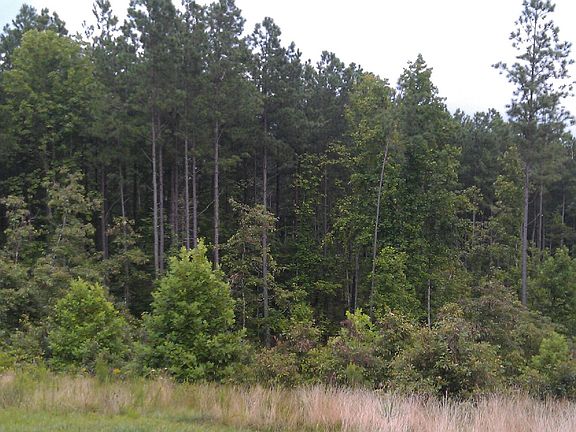 2nd image of Hardware Rd