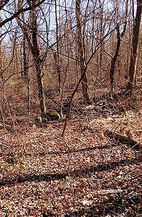 5th image of 20 & 32 & 36 3 Lots Stony