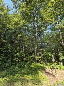 36 County Road 249, Leesburg, AL, 35983