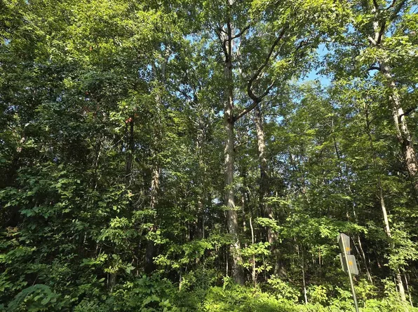 36 County Road 249, Leesburg, AL 35983