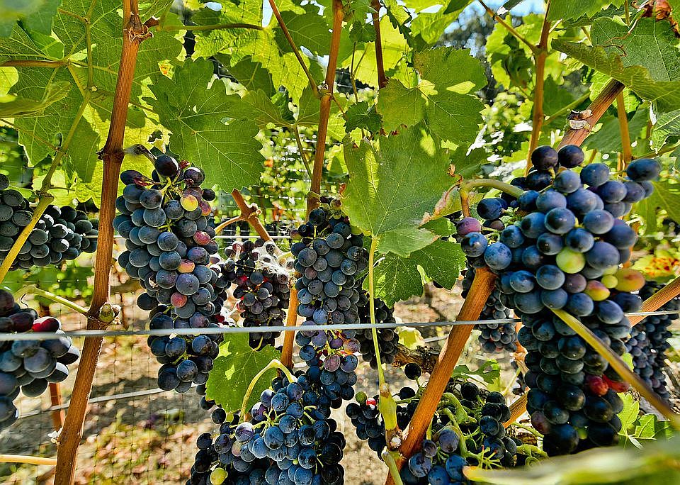 5343 Stonehurst Dr, Martinez, CA 94553 Zillow