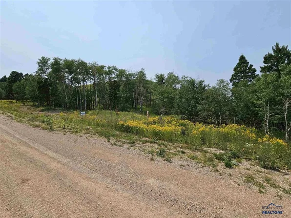 20933 Majestic Heights Rd, Sturgis, SD 57785