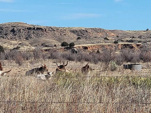 4th image of 0 Turkey Trl