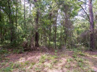 344 S Leona Ave, Lecanto, FL 34461