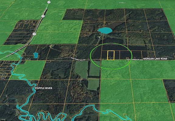 2nd image of Morgan Lake Rd