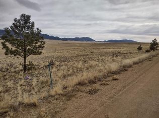 1821 Oxford Dr, Hartsel, CO 80449