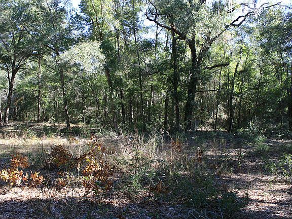 3rd image of Lot 32