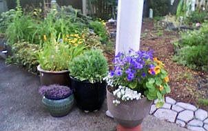 BACK PATIO