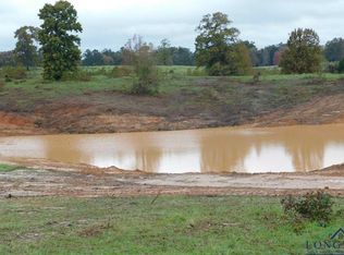 Goldfinch, Gilmer, TX --
