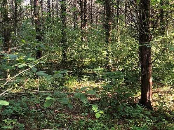 0 Rock Rd, Bourbon, MO 65441