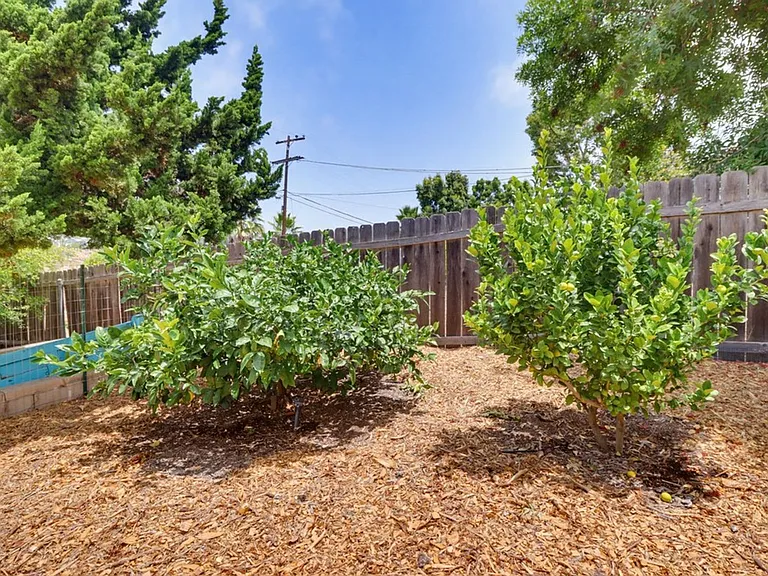 7134 Hybeth Dr — Photo 44